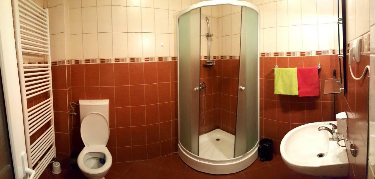 Vila Alfa Dumbrava Sibiu Exteriör bild