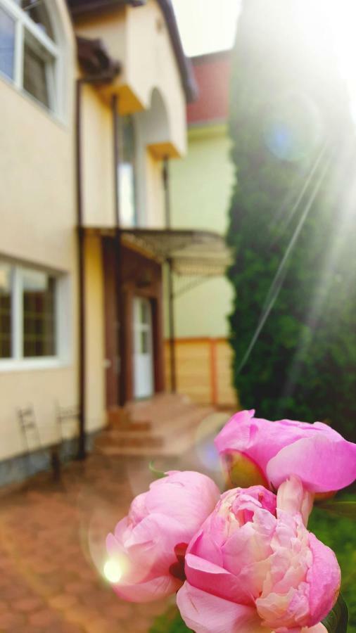 Vila Alfa Dumbrava Sibiu Exteriör bild